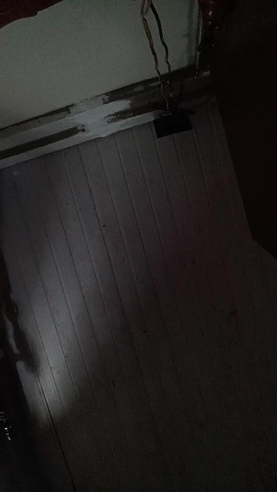 micaeli_sexy's Profile