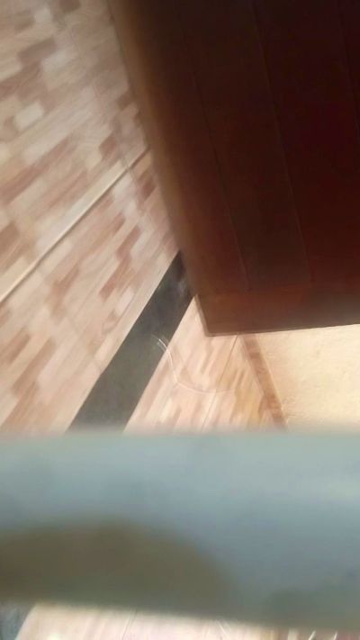 neyjunior6's Profile