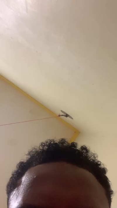 novindot20cm_'s Profile