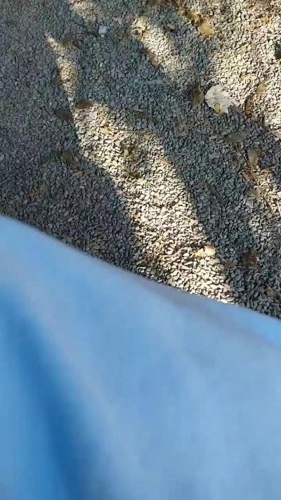 pandarosso1's Profile