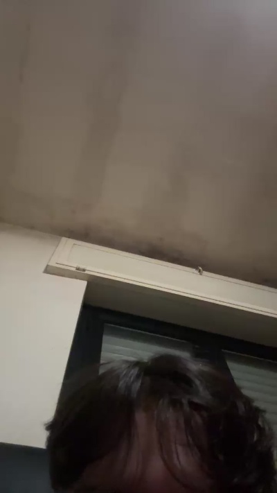 pifgrandecazzo5's Profile