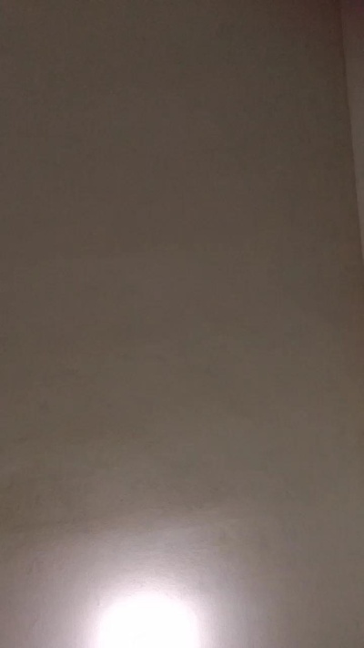 pipiurosa's Profile