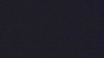 pollondeverdad's Profile