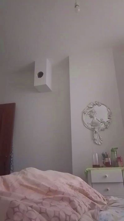 raducelfrumos99's Profile