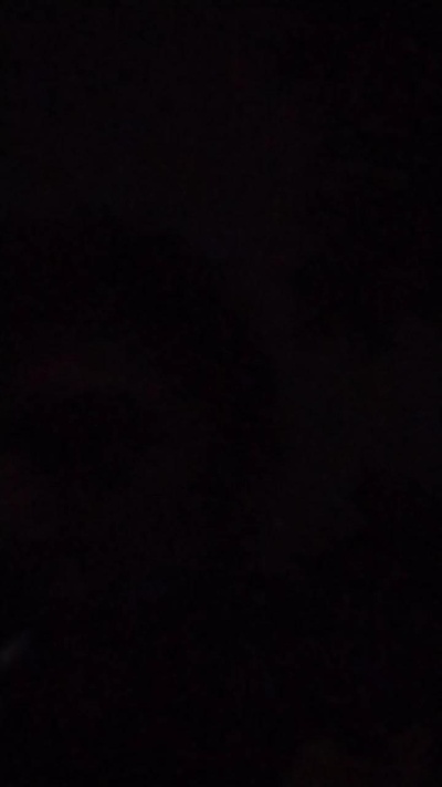 roratinho's Profile