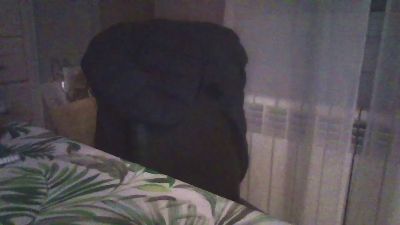 sexyblueeyeshot's Profile