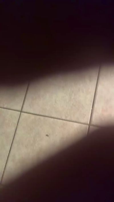 swaggerfun's Profile