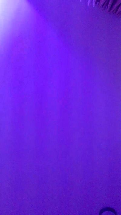 tamaratrans2's Profile