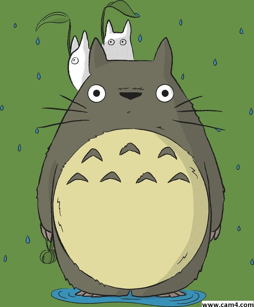 totoro81's Profile