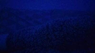 tupollon20's Profile