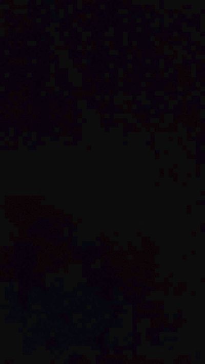 vergoncitokalor's Profile