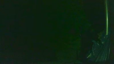 virginboyy24's Profile