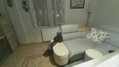 xalegarmax's Profile